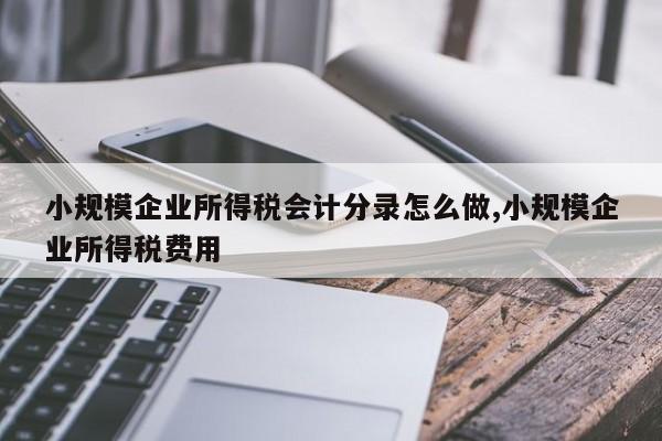 小规模企业所得税会计分录怎么做,小规模企业所得税费用