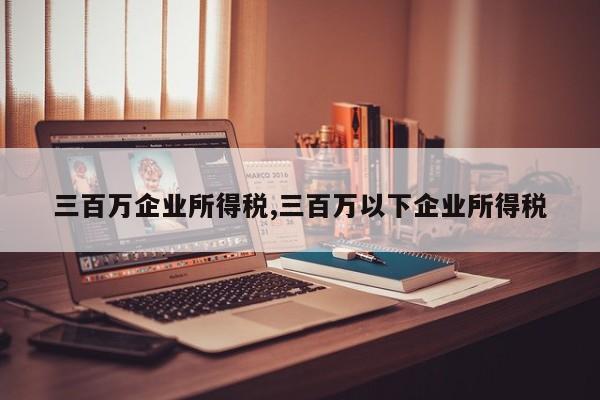 三百万企业所得税,三百万以下企业所得税