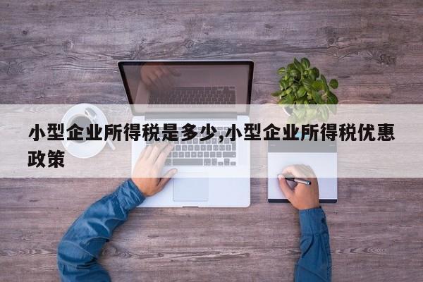 小型企业所得税是多少,小型企业所得税优惠政策