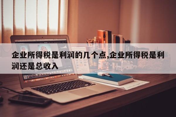 企业所得税是利润的几个点,企业所得税是利润还是总收入