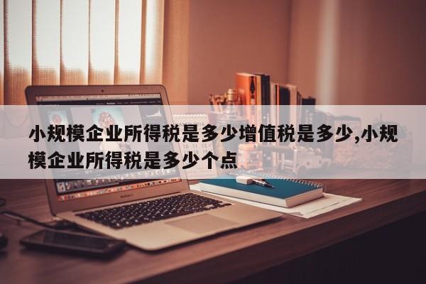 小规模企业所得税是多少增值税是多少,小规模企业所得税是多少个点