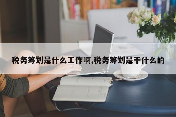 税务筹划是什么工作啊,税务筹划是干什么的