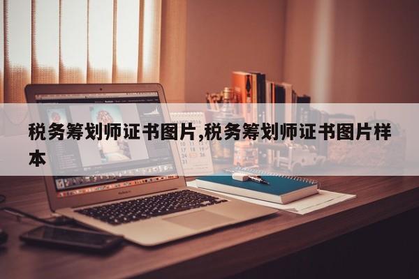 税务筹划师证书图片,税务筹划师证书图片样本