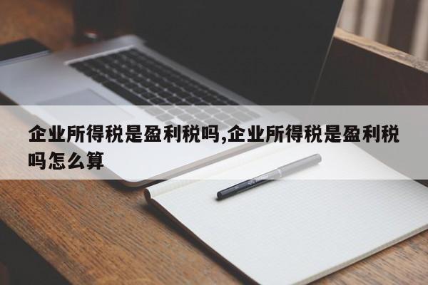 企业所得税是盈利税吗,企业所得税是盈利税吗怎么算