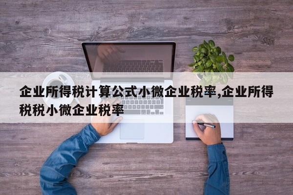 企业所得税计算公式小微企业税率,企业所得税税小微企业税率