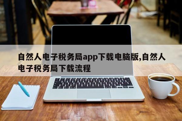 自然人电子税务局app下载电脑版,自然人电子税务局下载流程