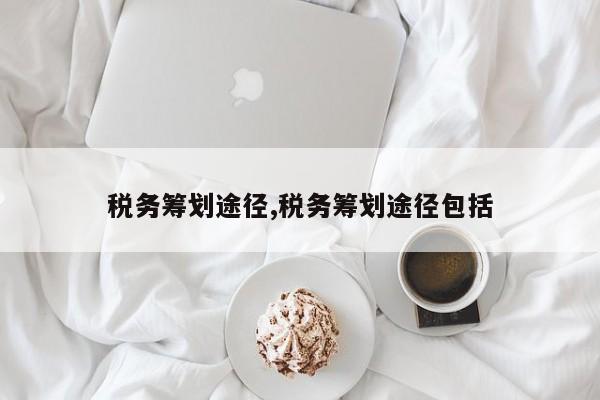 税务筹划途径,税务筹划途径包括