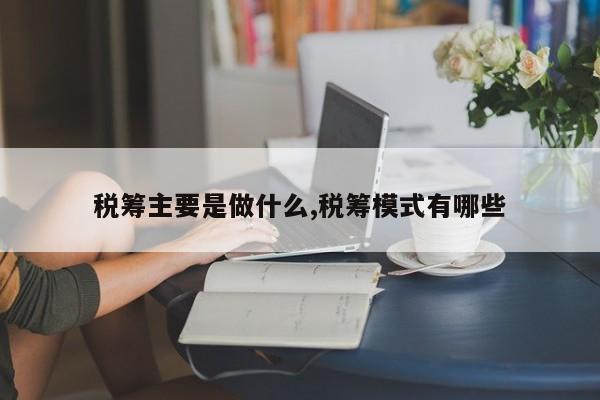 税筹主要是做什么,税筹模式有哪些