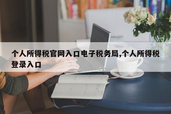 个人所得税官网入口电子税务局,个人所得税登录入口