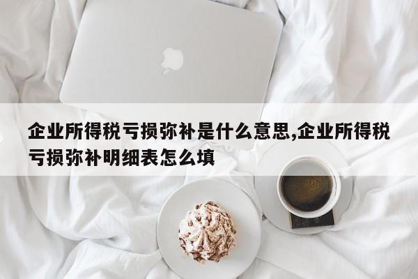 企业所得税亏损弥补是什么意思,企业所得税亏损弥补明细表怎么填