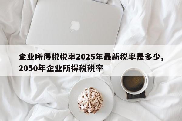 企业所得税税率2025年最新税率是多少,2050年企业所得税税率