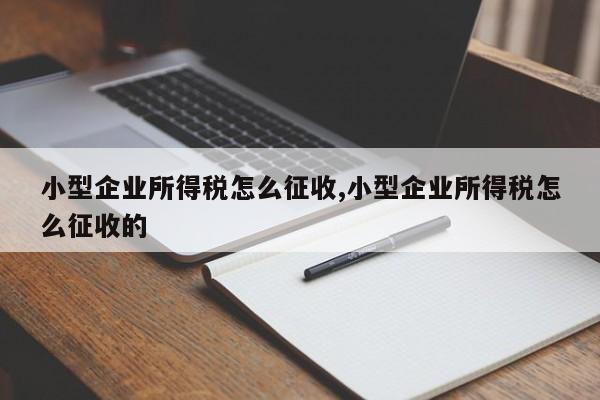 小型企业所得税怎么征收,小型企业所得税怎么征收的