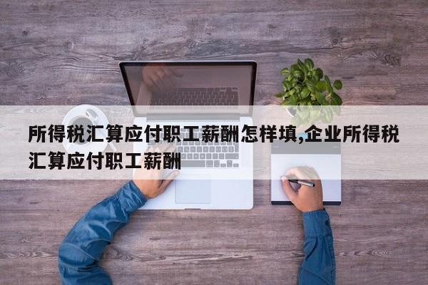所得税汇算应付职工薪酬怎样填,企业所得税汇算应付职工薪酬