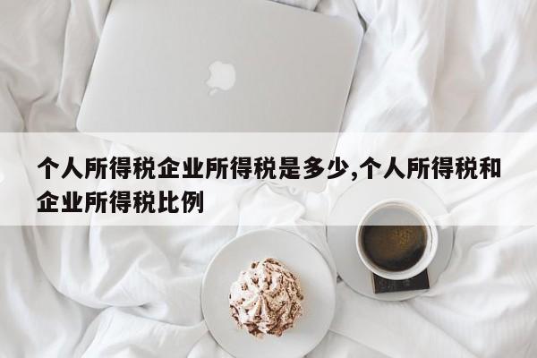 个人所得税企业所得税是多少,个人所得税和企业所得税比例