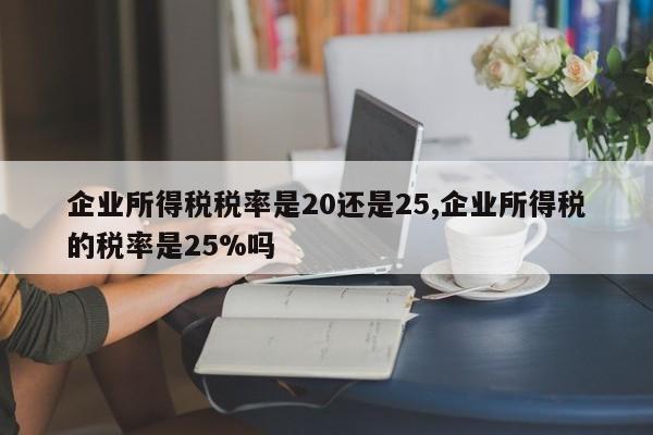 企业所得税税率是20还是25,企业所得税的税率是25%吗
