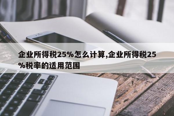 企业所得税25%怎么计算,企业所得税25%税率的适用范围