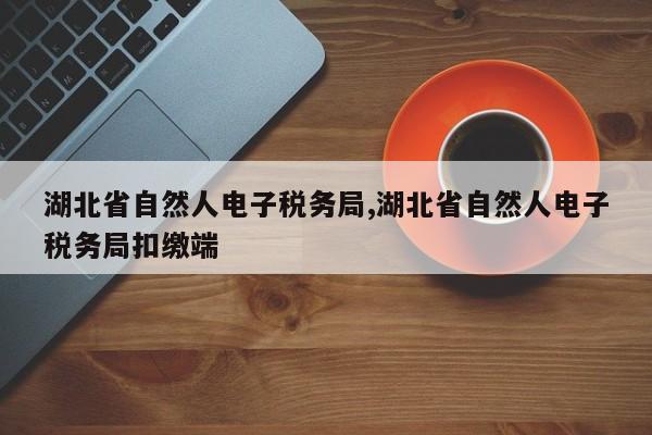 湖北省自然人电子税务局,湖北省自然人电子税务局扣缴端
