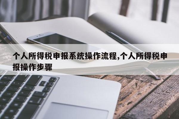 个人所得税申报系统操作流程,个人所得税申报操作步骤