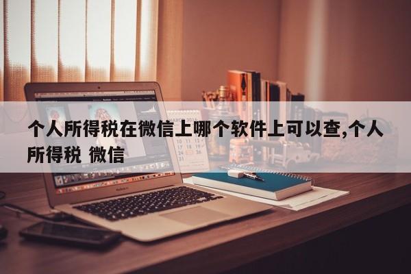 个人所得税在微信上哪个软件上可以查,个人所得税 微信