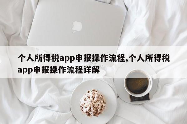 个人所得税app申报操作流程,个人所得税app申报操作流程详解