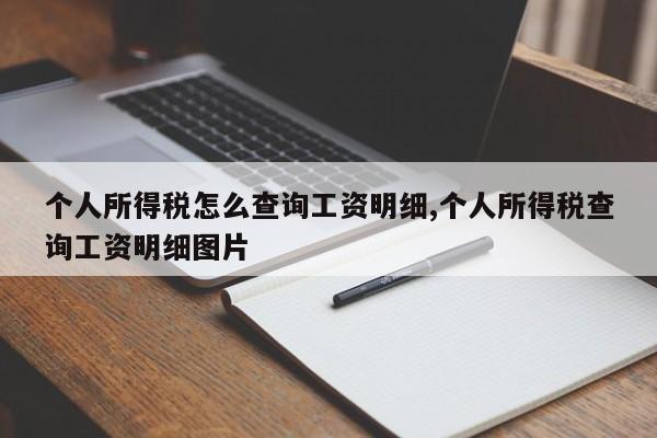 个人所得税怎么查询工资明细,个人所得税查询工资明细图片