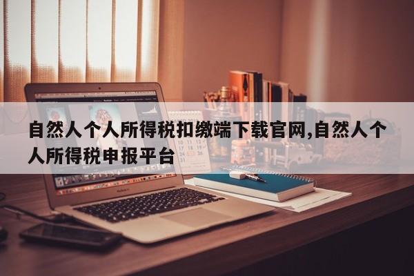 自然人个人所得税扣缴端下载官网,自然人个人所得税申报平台
