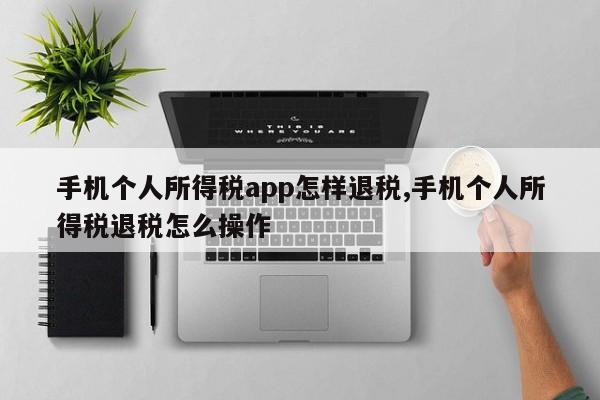 手机个人所得税app怎样退税,手机个人所得税退税怎么操作