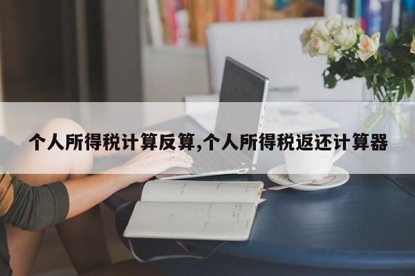 个人所得税计算反算,个人所得税返还计算器