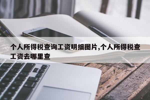 个人所得税查询工资明细图片,个人所得税查工资去哪里查